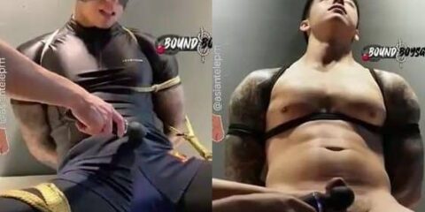 Titus low