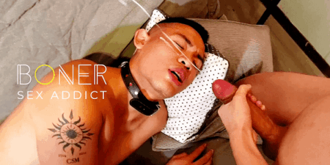 Gay teen love cock